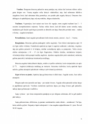 www.speros.lt